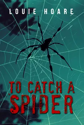 To Catch a Spider poster