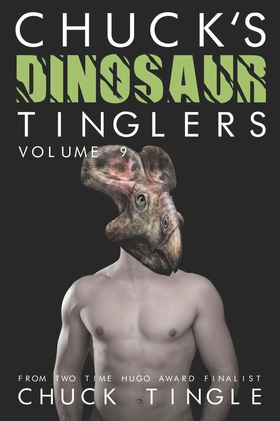 Chuck's Dinosaur Tinglers: Volume 9 poster