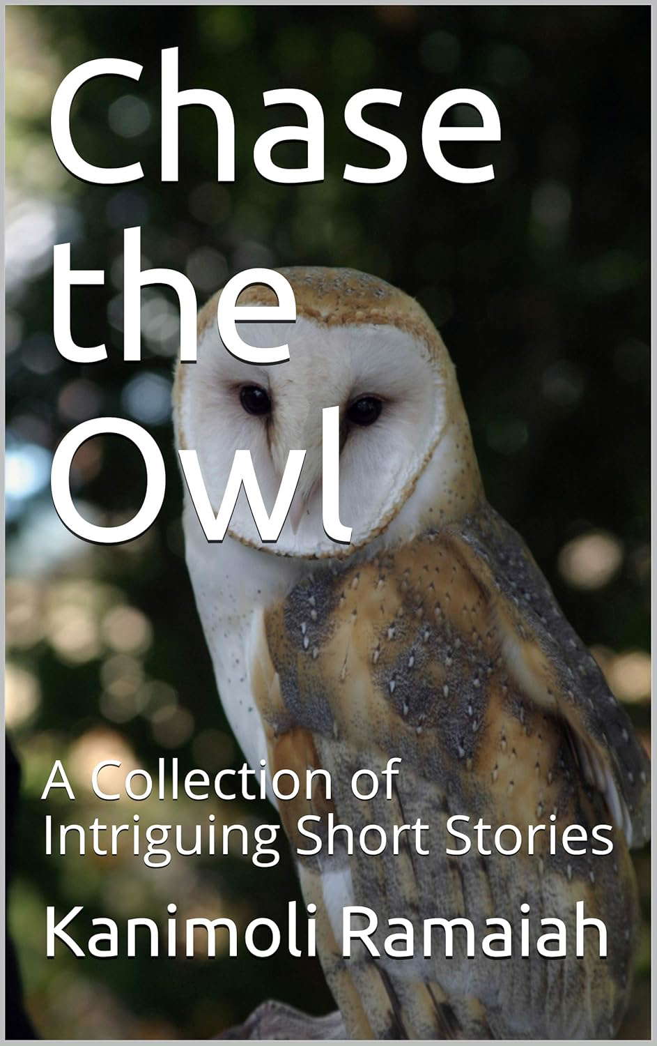 Chase the Owl: A Collection of Intriguing Short Stories poster