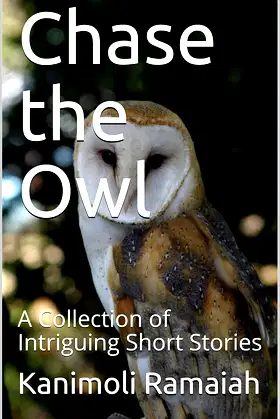 Chase the Owl: A Collection of Intriguing Short Stories poster