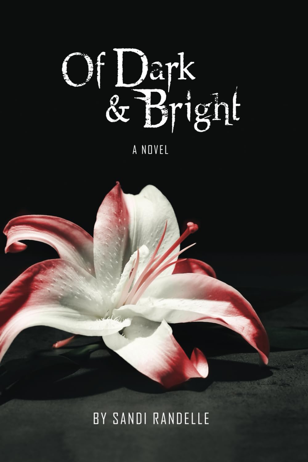 Of Dark & Bright (Of Blood & Consequences) poster