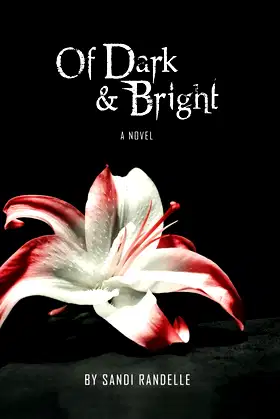 Of Dark & Bright (Of Blood & Consequences) poster