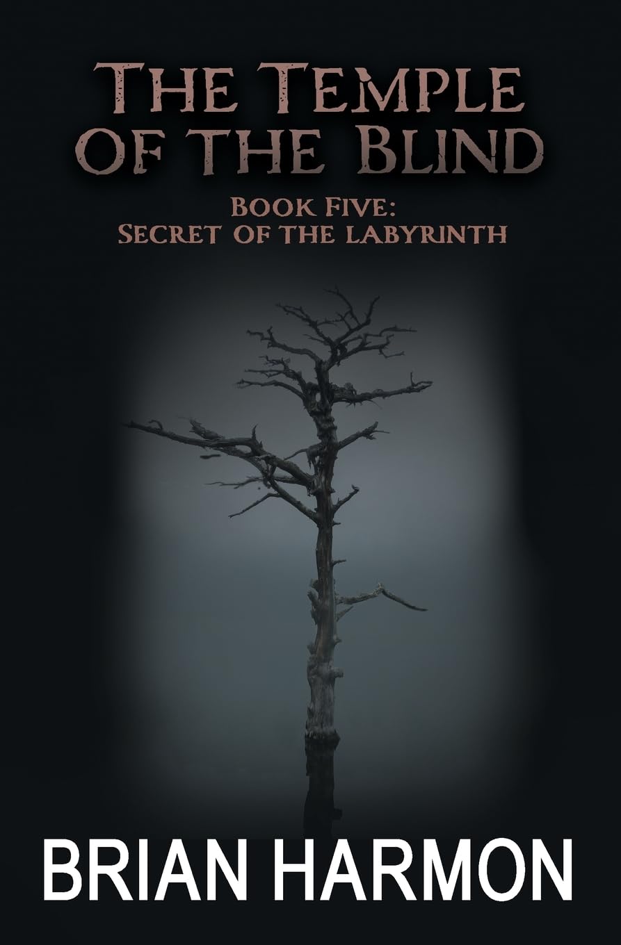 Secret of the Labyrinth: The Temple of the Blind #5 poster