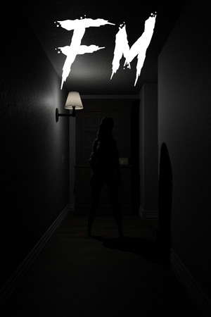 FM poster