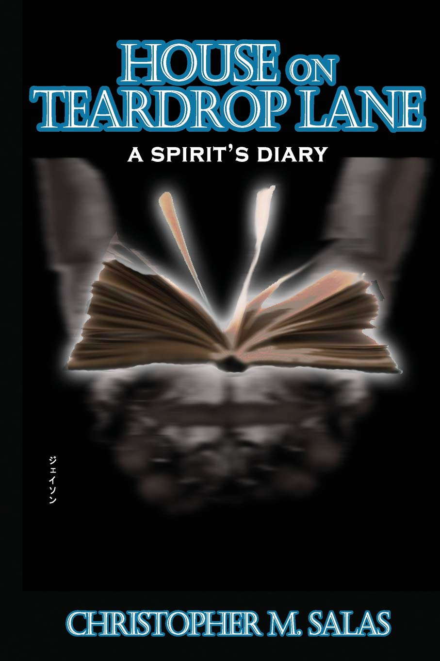 House On Teardrop Lane: A Spirit's Diary poster