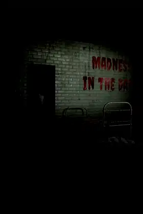 Madness in the dark poster