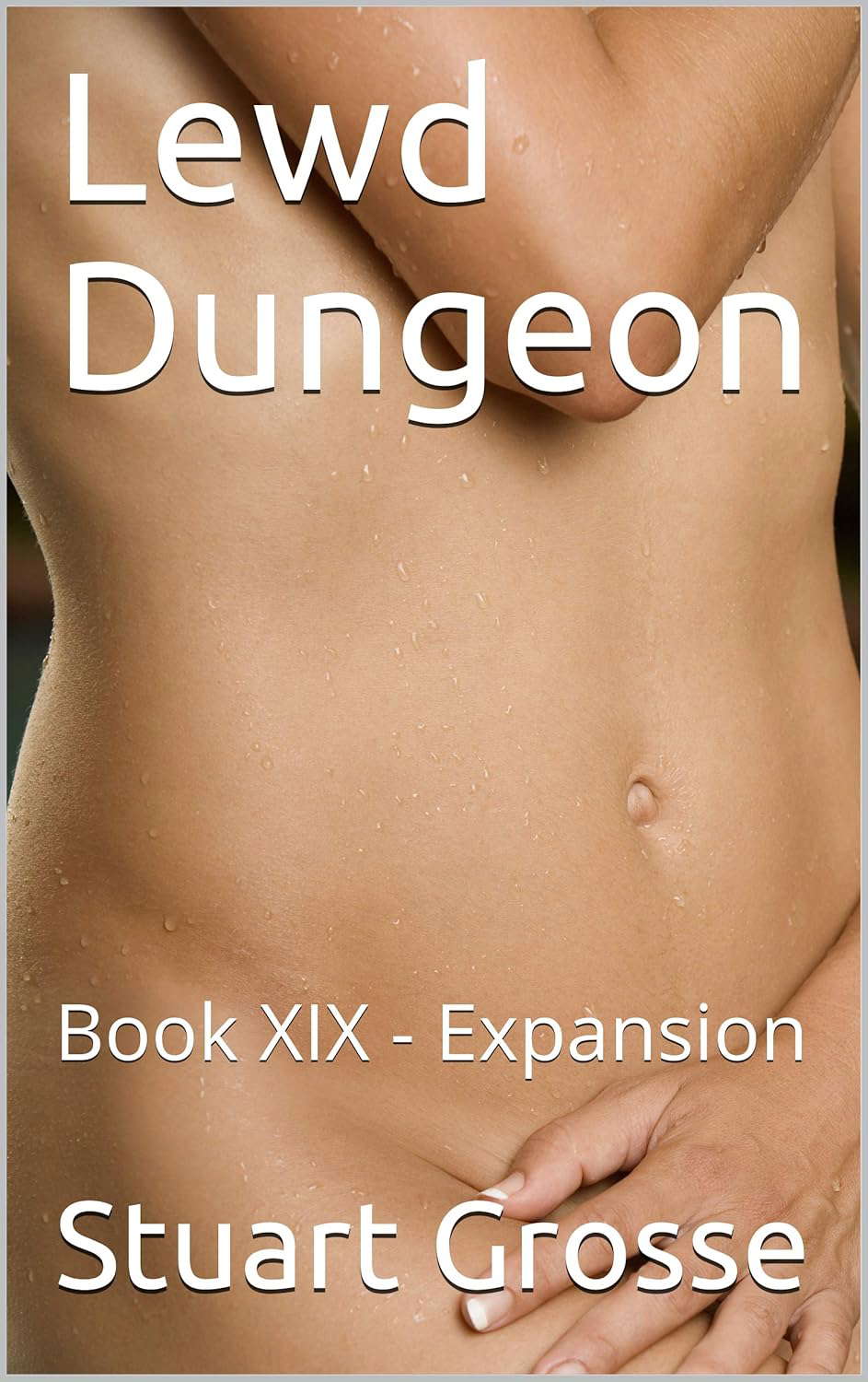 Lewd Dungeon: Book XIX - Expansion poster