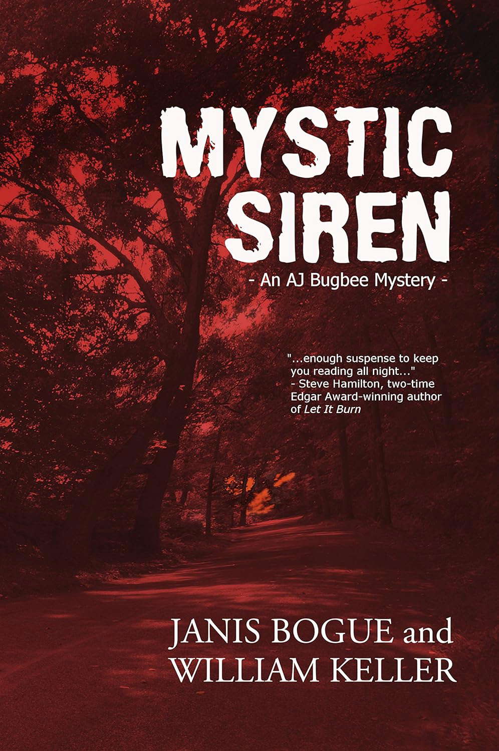 Mystic Siren (AJ Bugbee Mysteries Book 2) poster