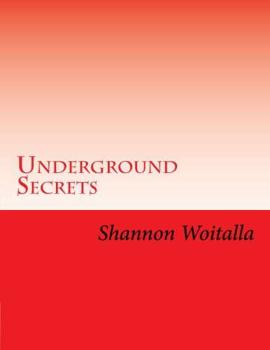 Underground Secrets poster