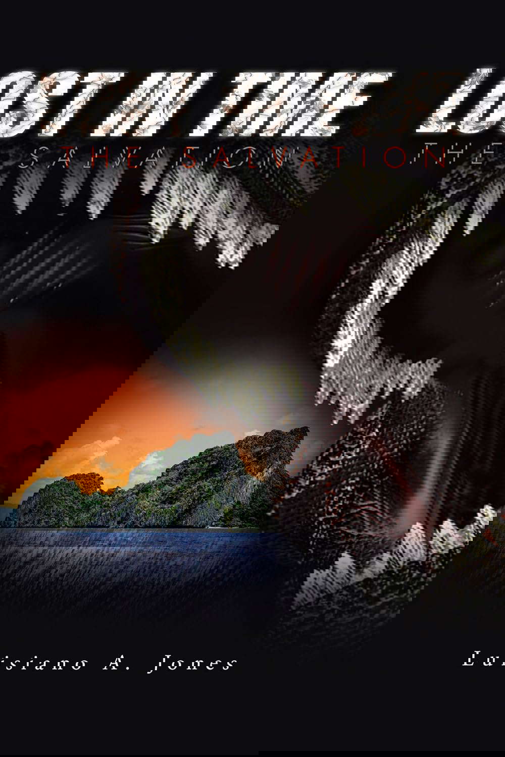 Lost in Time: The Salvation poster