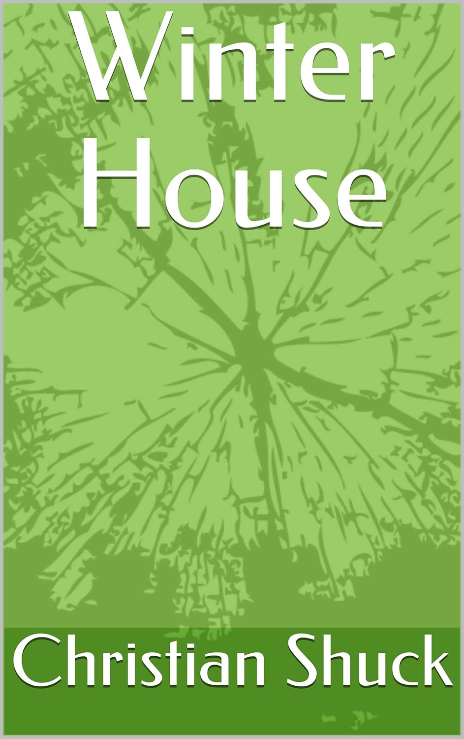 Winter House poster