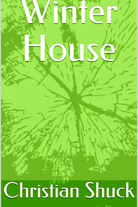 Winter House poster