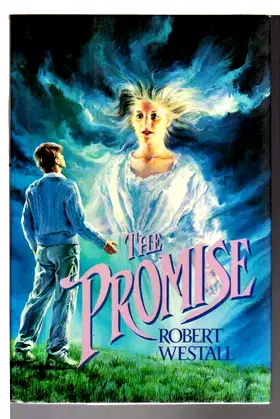 Promise poster