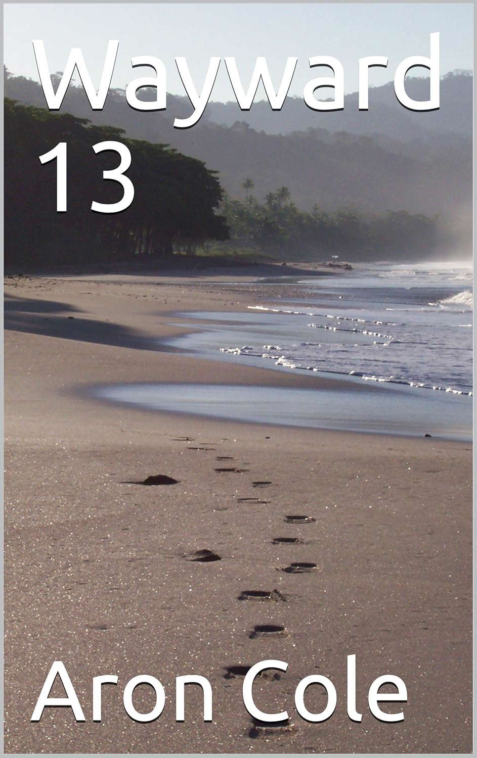 Wayward 13 poster