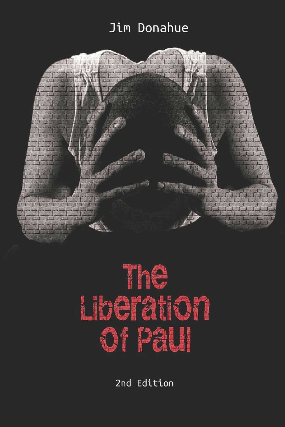 The Liberation of Paul poster