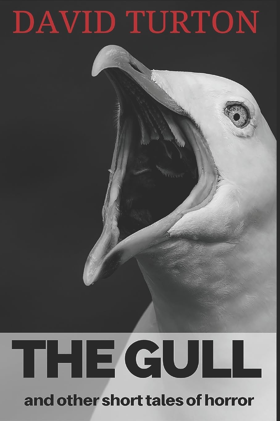 The Gull: and other short tales of horror poster