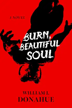 Burn, Beautiful Soul: A Novel poster