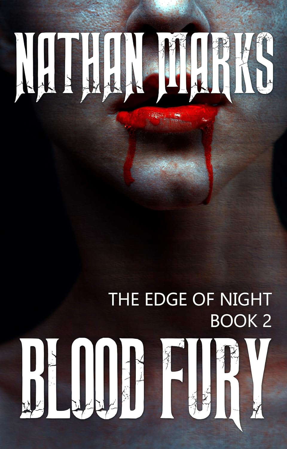 Blood Fury (The Edge of Night Book 2) poster