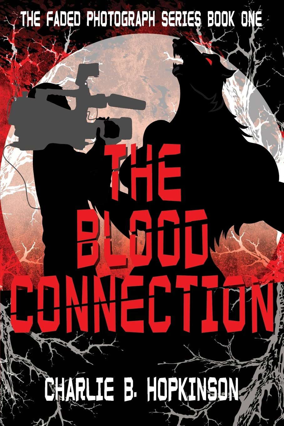 THE BLOOD CONNECTION (THE FADED PHOTOGRAPH SERIES) poster