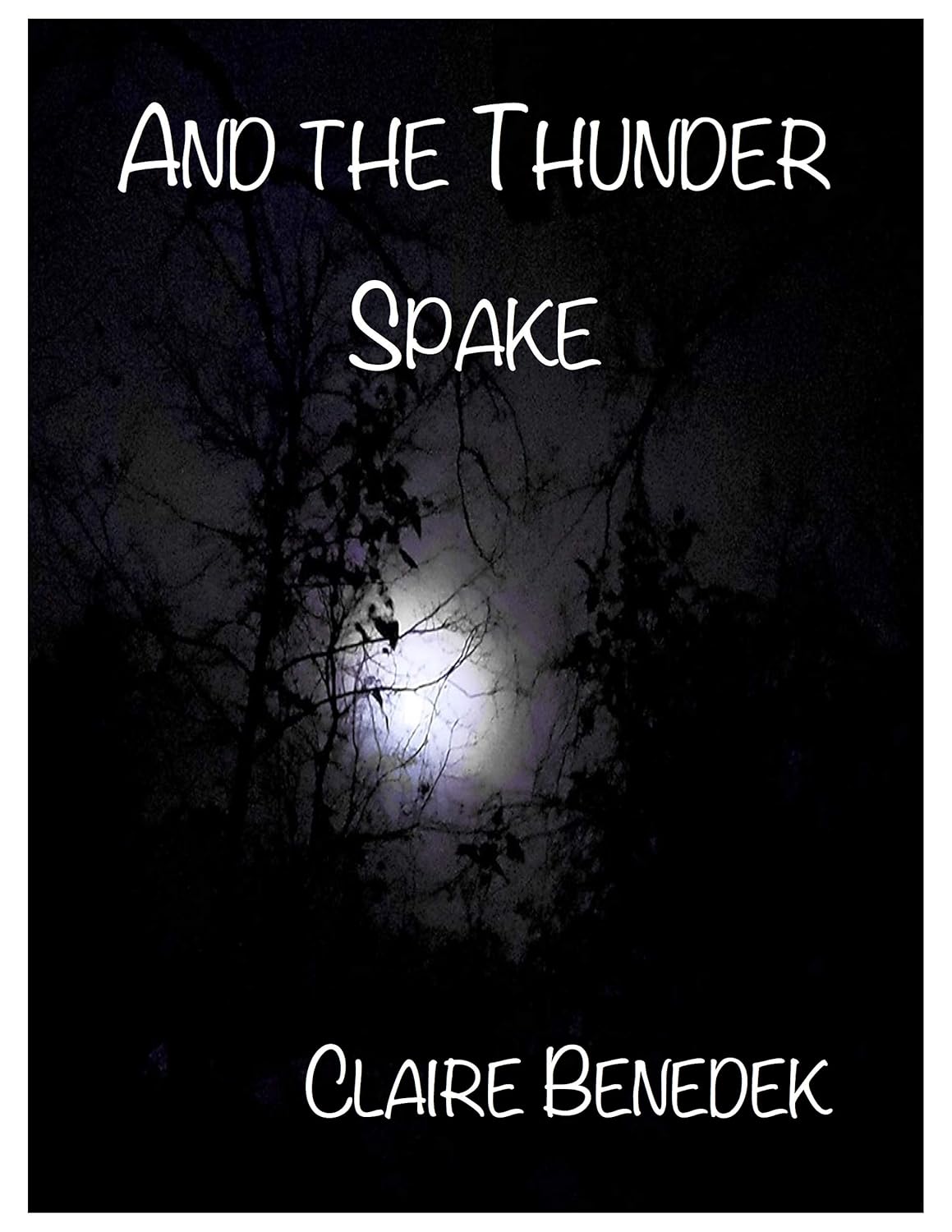 And the Thunder Spake poster