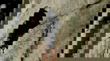 episode poster