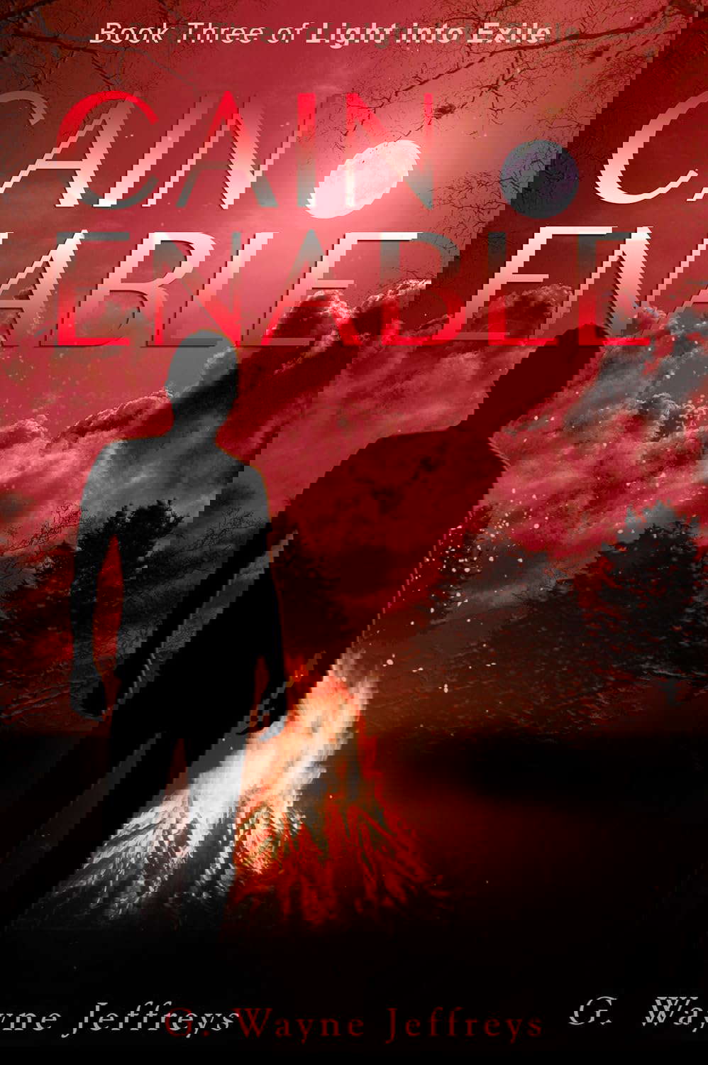 Cain Enable: Book Three of Light into Exile poster