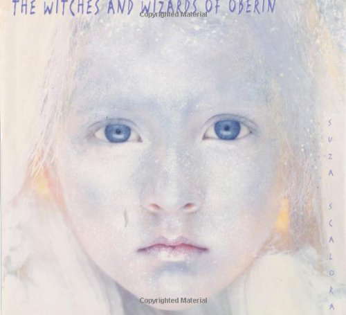 The Witches and Wizards of Oberin poster