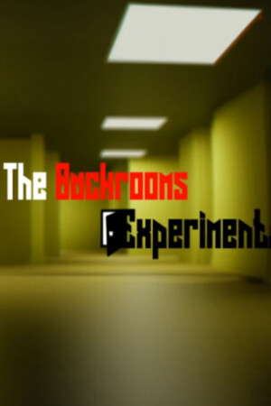 The Backrooms Experiment poster