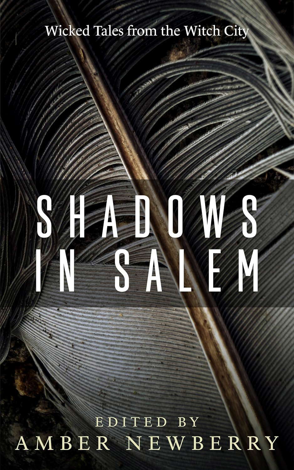 Shadows in Salem: Wicked Tales from the Witch City poster
