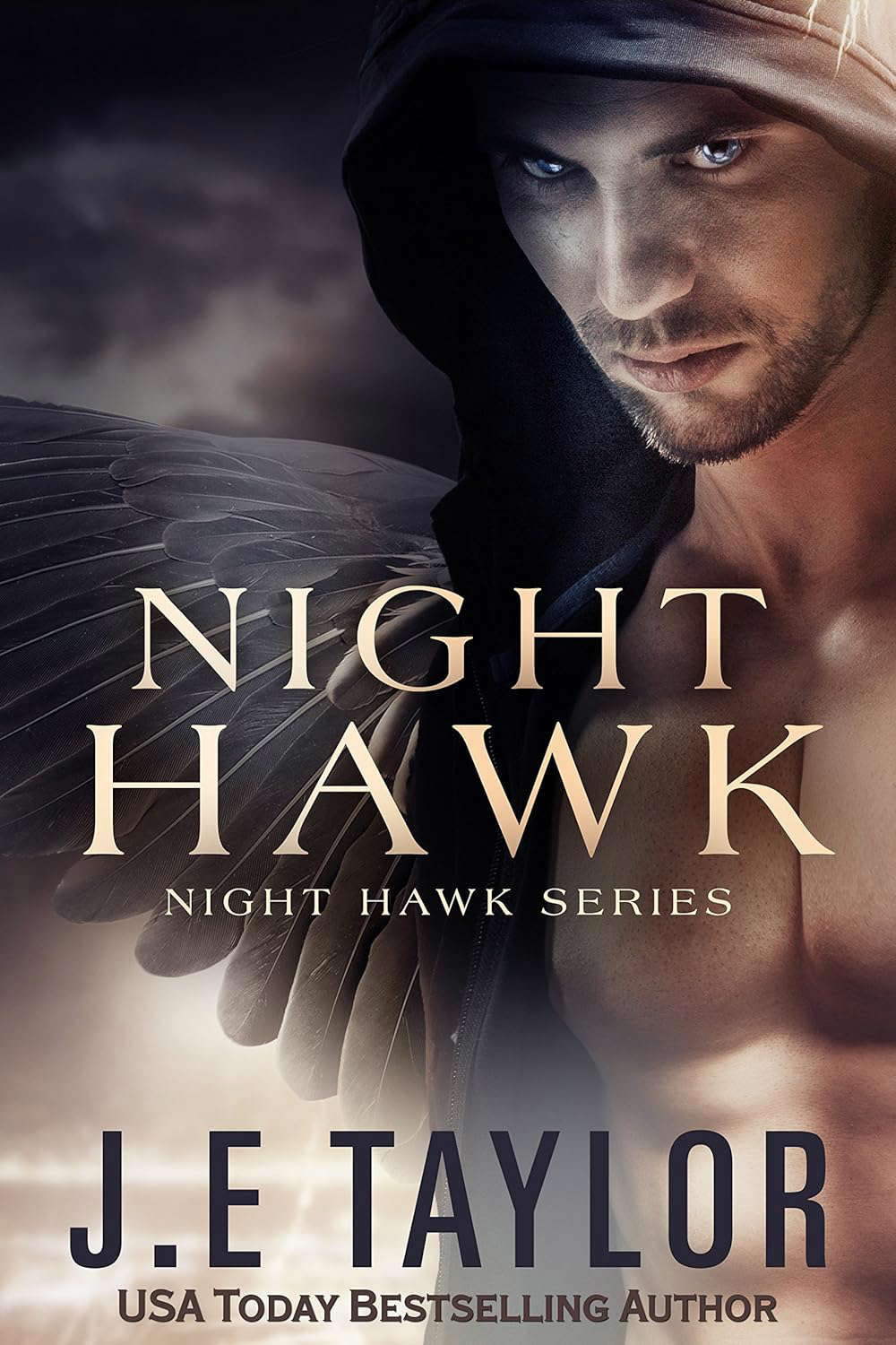 Night Hawk (Night Hawk Series Book 1) poster
