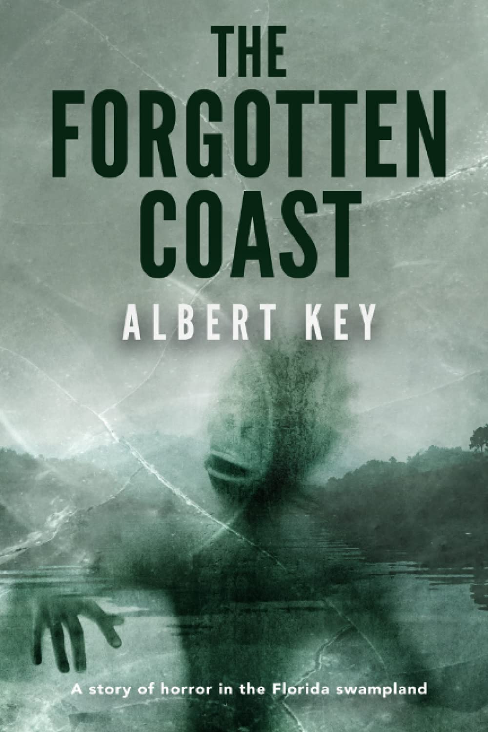 The Forgotten Coast poster