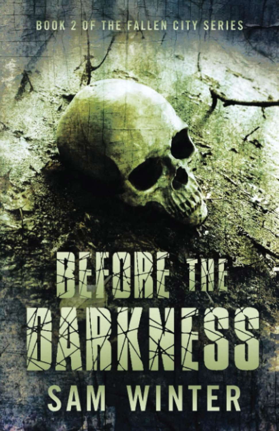 Before The Darkness (Book 2, Fallen City Series) (The Fallen City Series) poster
