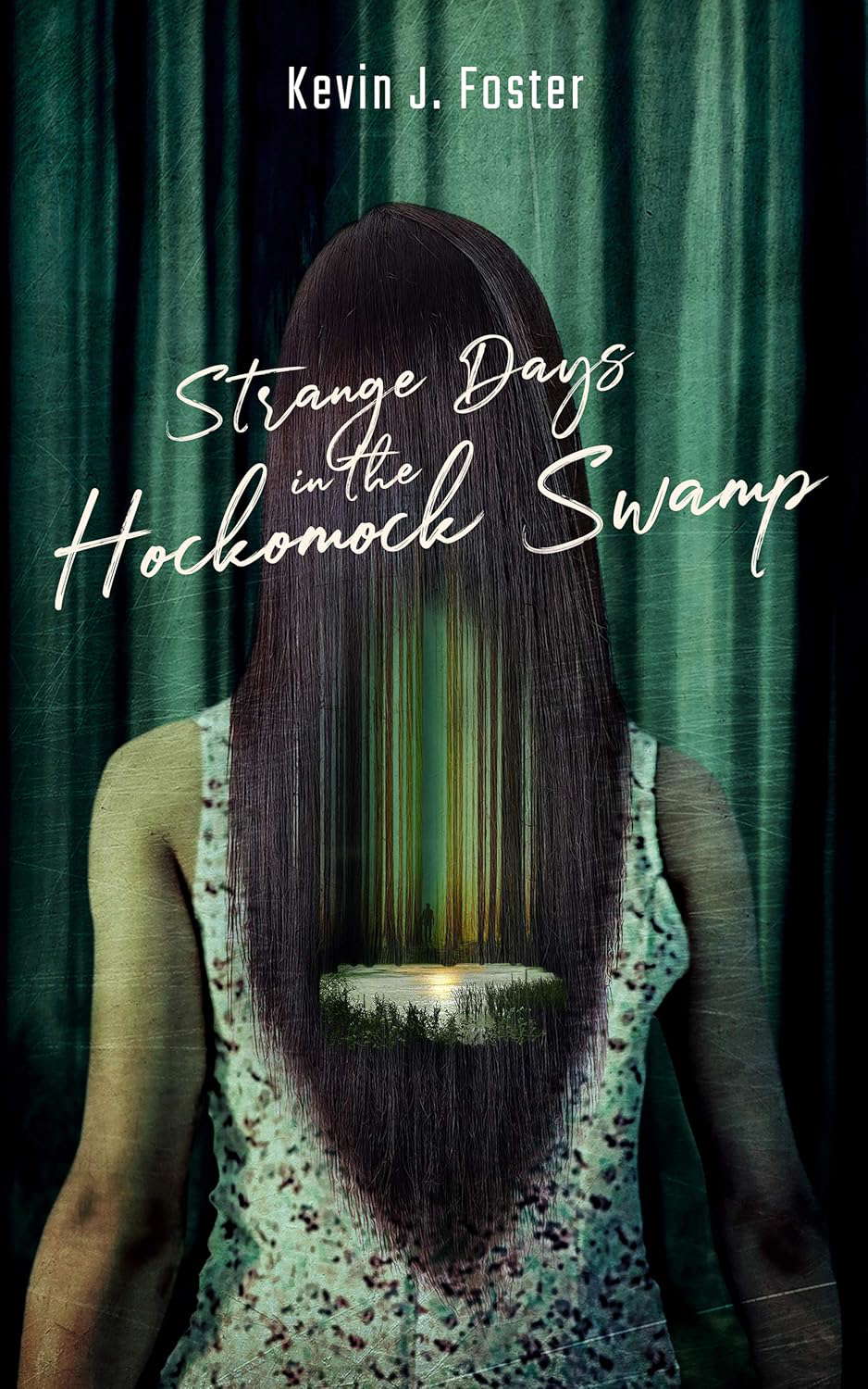 Strange Days in the Hockomock Swamp poster