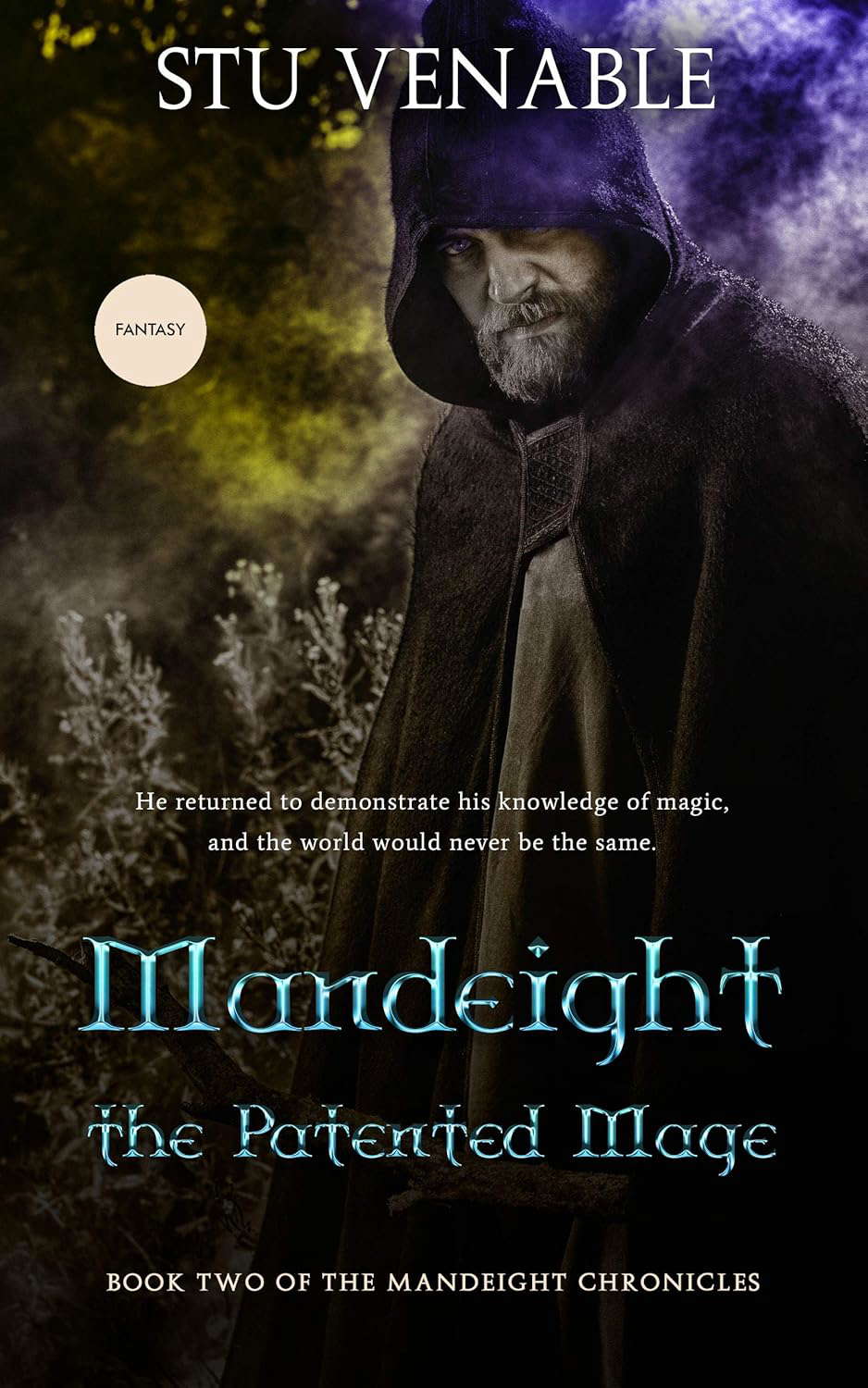 Mandeight the Patented Mage: Book Two in the Mandeight Chronicles poster