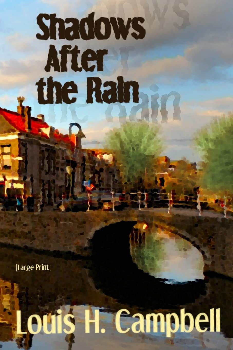 Shadows After the Rain poster