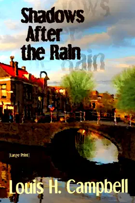 Shadows After the Rain poster