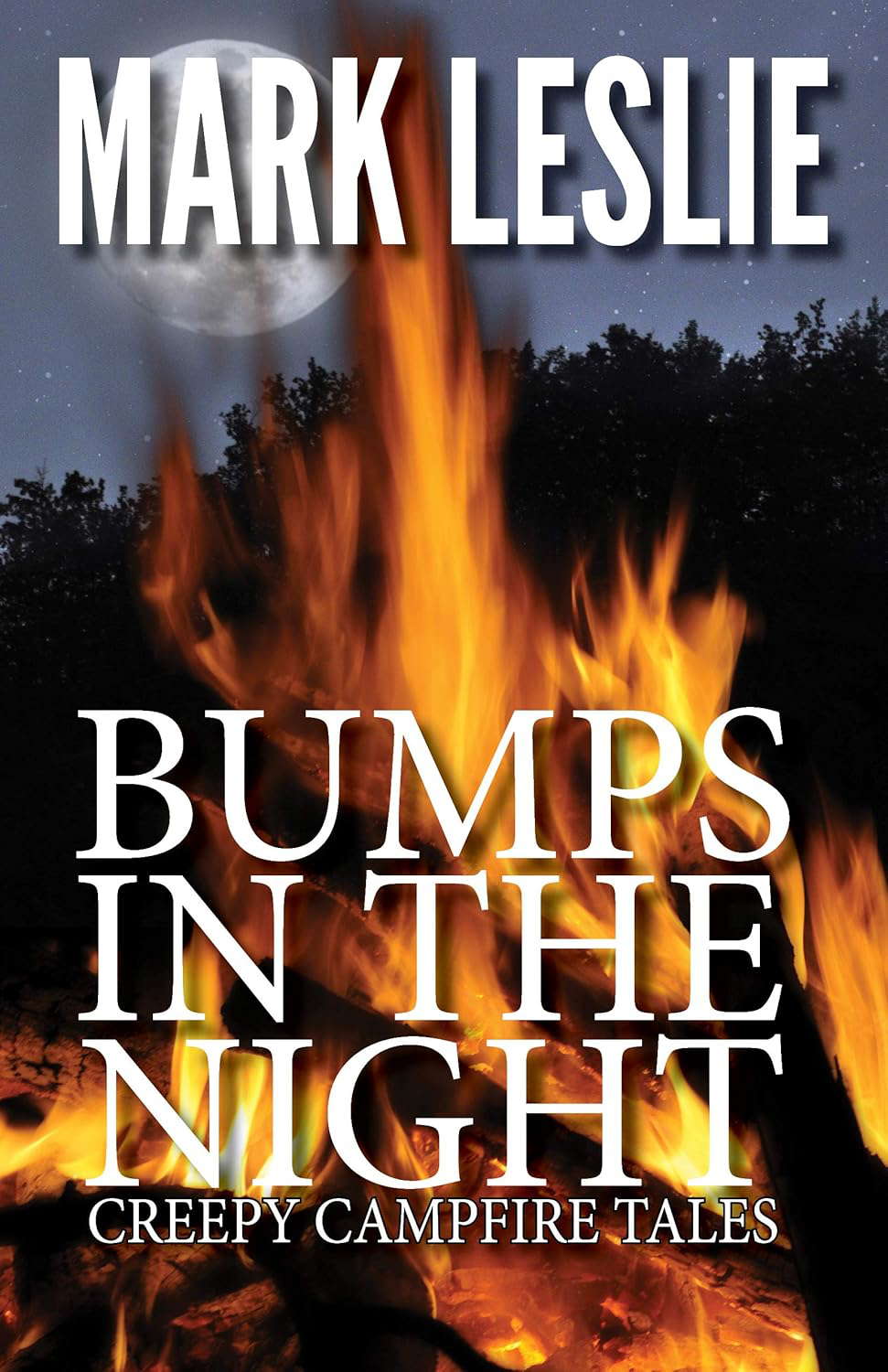 Bumps in the Night: Creepy Campfire Tales poster