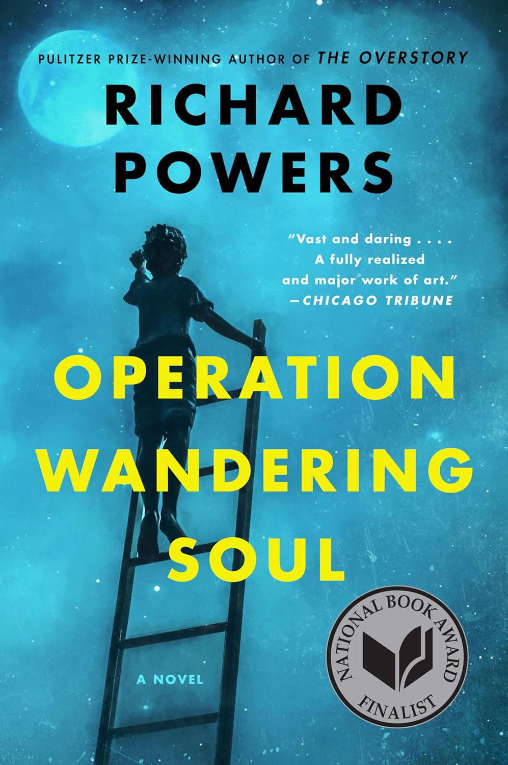 OPERATION WANDERING SOUL poster