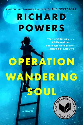 OPERATION WANDERING SOUL poster