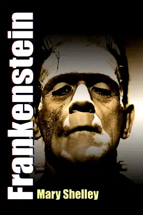 Frankenstein - The Modern Prometheus poster