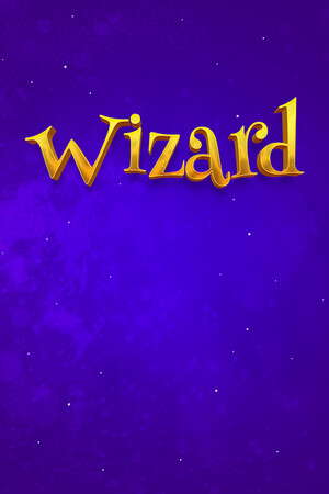 The Wizard poster