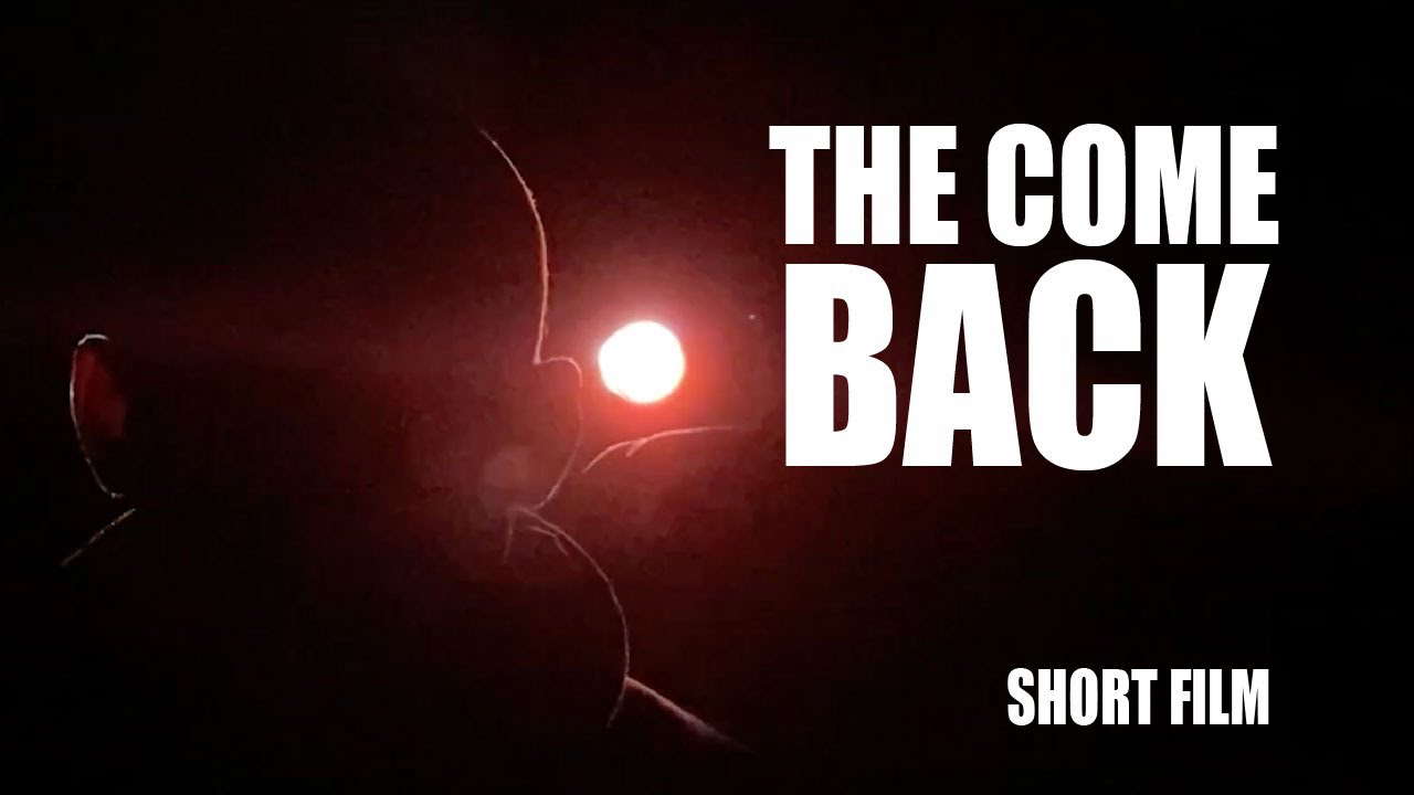 The come back (short film)
