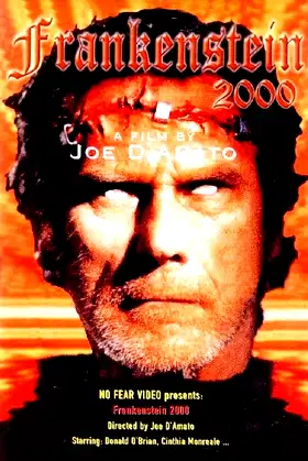 Return from Death: Frankenstein 2000 poster