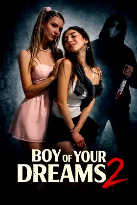 Boy Of Your Dreams 2 poster