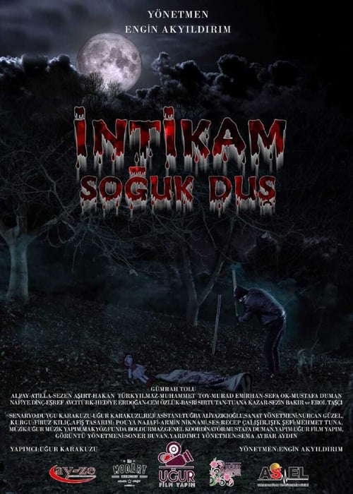 İntikam Soğuk Duş poster