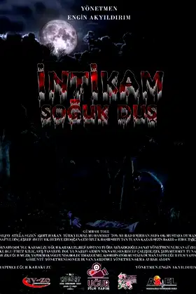 İntikam Soğuk Duş poster