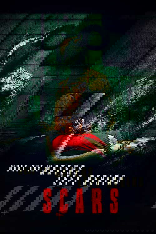 What the Waters Left Behind: Scars poster