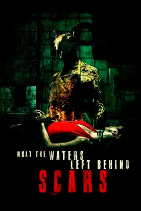 What the Waters Left Behind: Scars poster