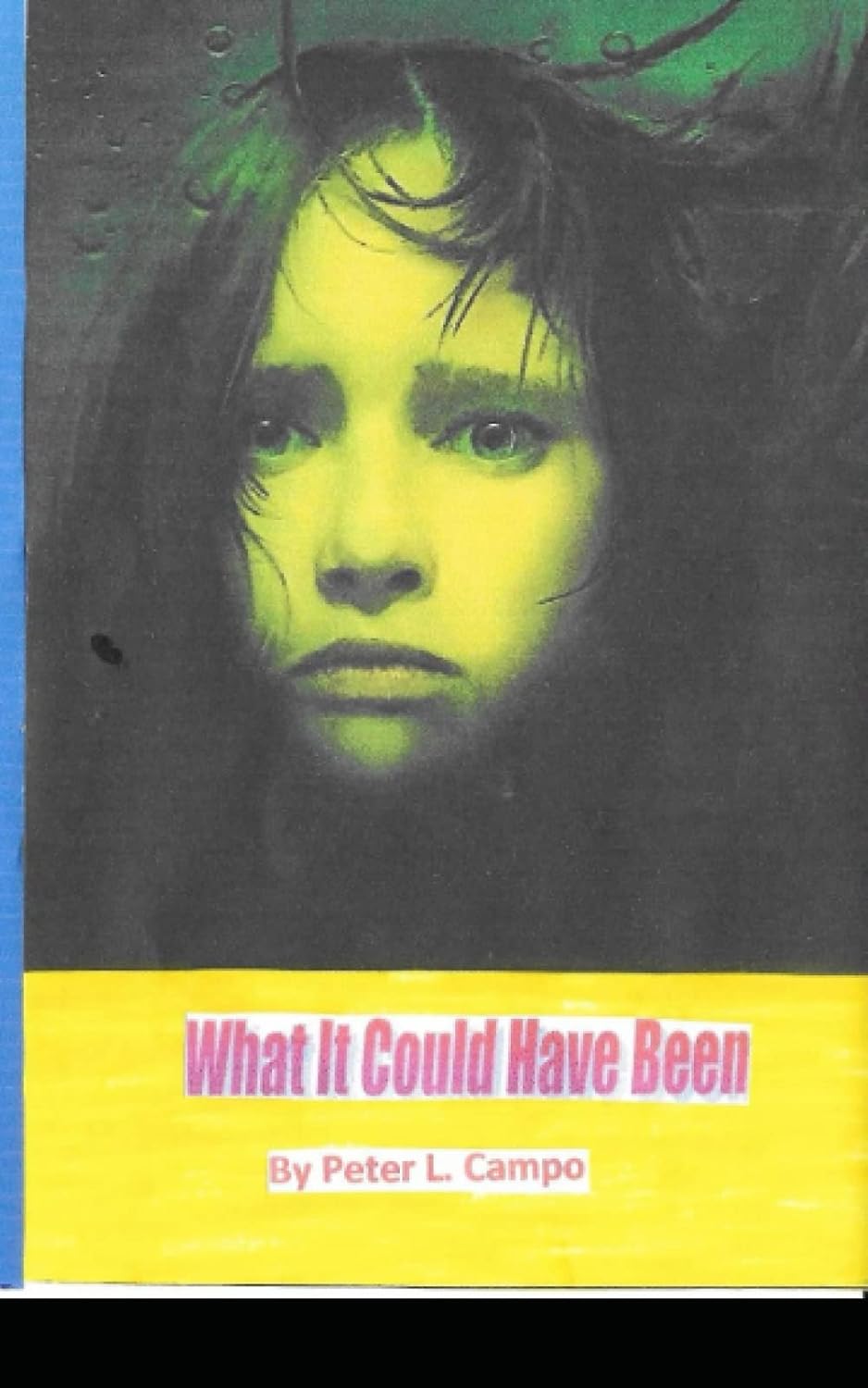 What It Could Have Been poster
