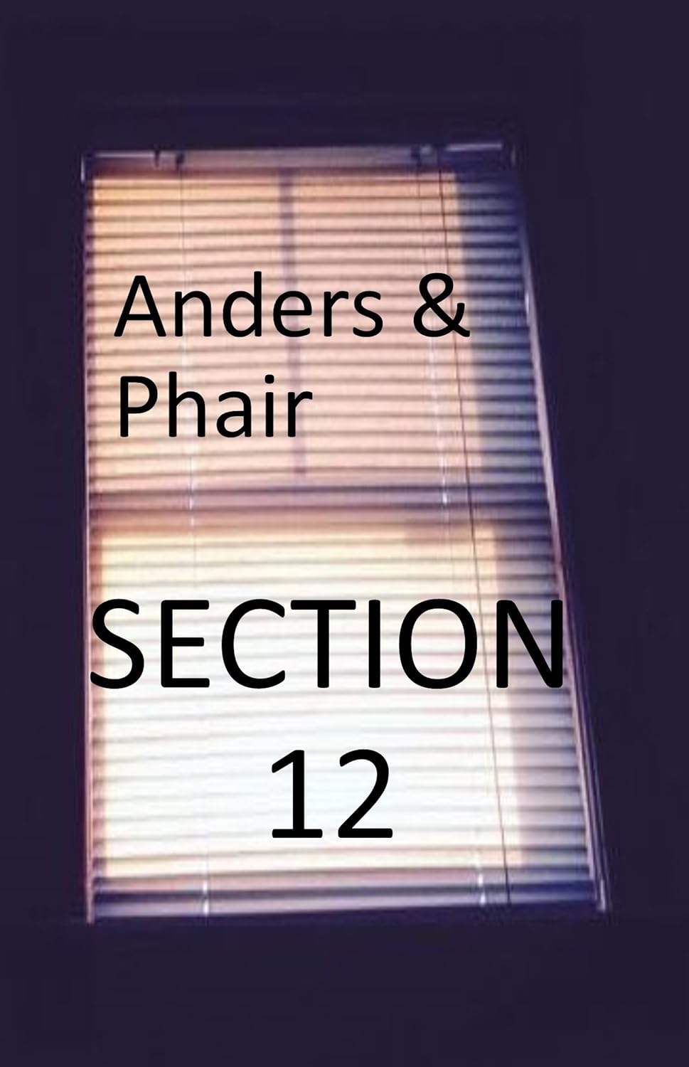 Section 12 (O'Grady Book 2) poster